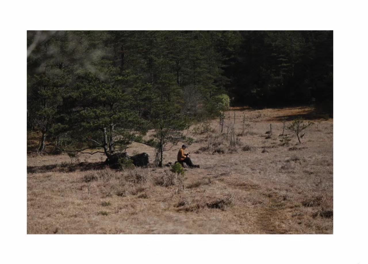 A Forest in Silence
