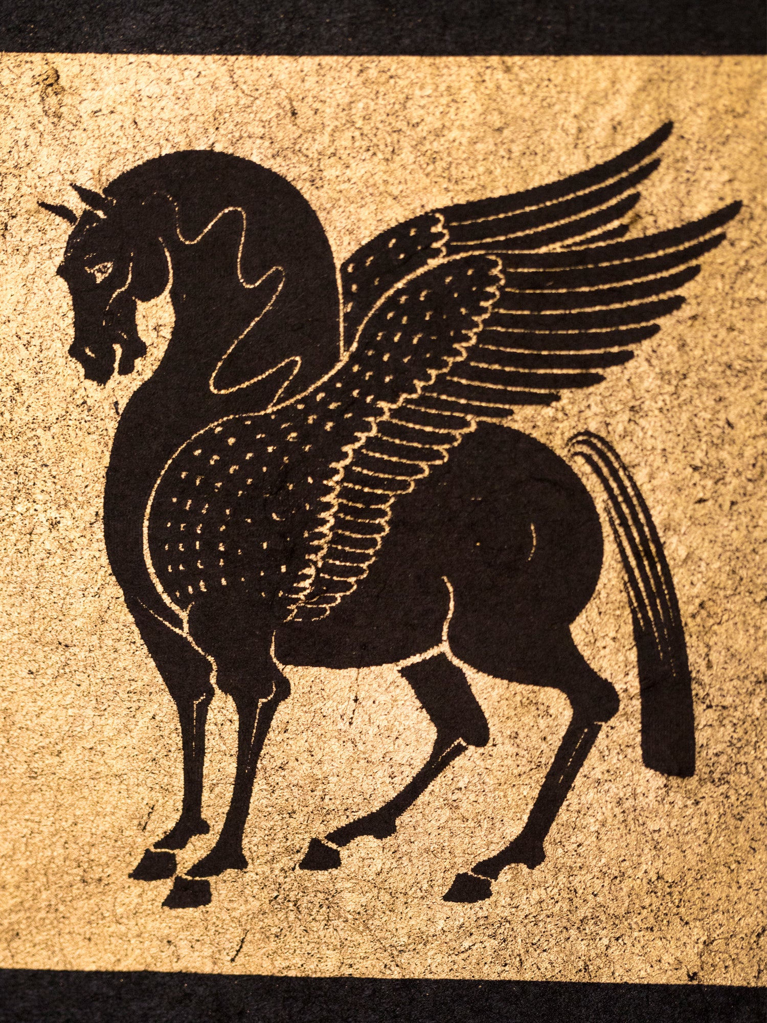 WMS™ Pegasus